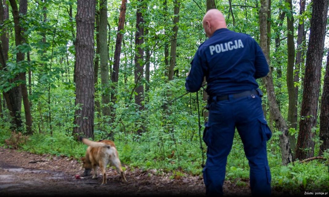 Nowe Inicjatywy w Policji zwiększają Atrakcyjność Służby